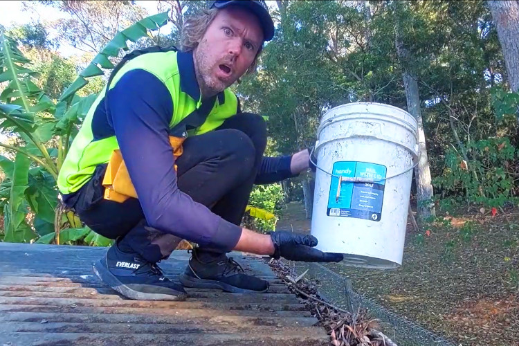 
The importance of a bucket during narooma gutter cleaning cannot be overstated.